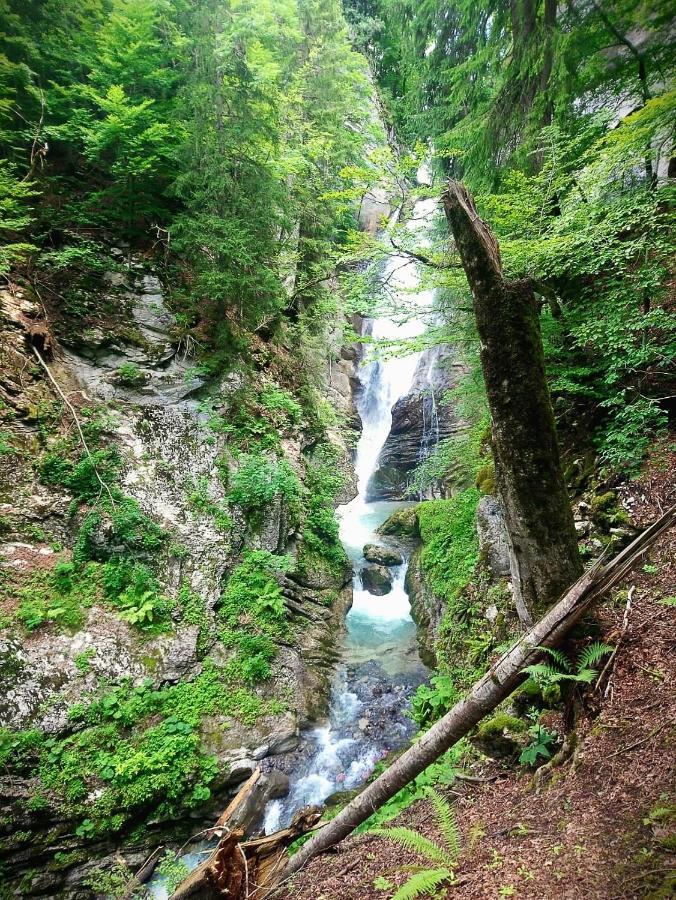 Charmieux Appartement En Chalet Typique Le Grand-Bornand Εξωτερικό φωτογραφία
